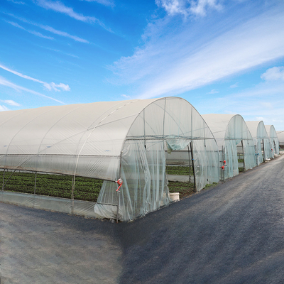 पौधों को उगाने के लिए 8m 9m चौड़ाई सिंगल स्पैन वर्टिकल टनल प्लास्टिक ग्रीनहाउस