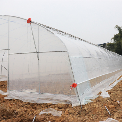 सिंगल स्पैन प्लास्टिक टनल ग्रीनहाउस वाणिज्यिक कृषि
