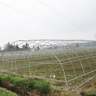 एंटी एजिंग फिल्म माइक्रोन एंटी यूवी प्लास्टिक ग्रीनहाउस कृषि सब्जियां रोपण