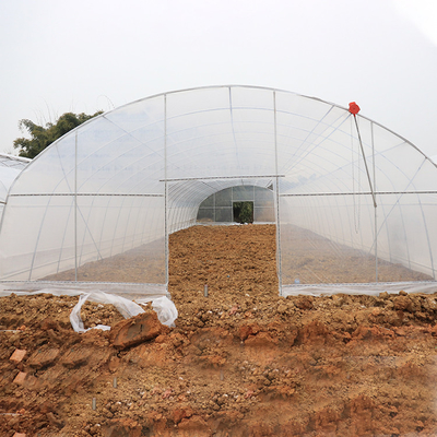एंटी एजिंग फिल्म माइक्रोन एंटी यूवी प्लास्टिक ग्रीनहाउस कृषि सब्जियां रोपण