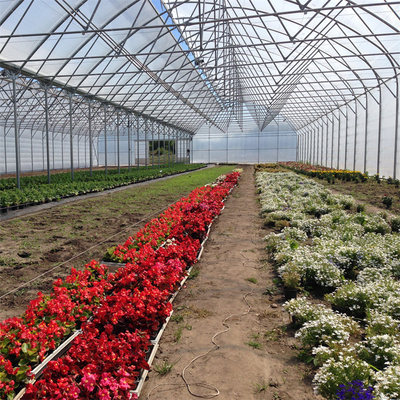 फूल उगाने के लिए हाई टनल गटर एयर सर्कुलेशन मल्टी स्पैन ग्रीनहाउस