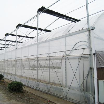 मल्टी स्पैन कृषि / वाणिज्यिक हाइड्रोफोनिक ग्रीनहाउस आसानी से स्थापित