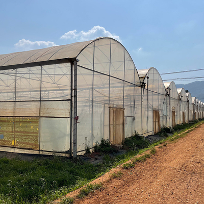 खेती के लिए कृषि बढ़ती प्रणाली प्लास्टिक फिल्म मल्टी स्पैन ग्रीनहाउस