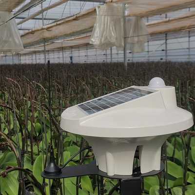 खेती के लिए कृषि बढ़ती प्रणाली प्लास्टिक फिल्म मल्टी स्पैन ग्रीनहाउस