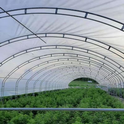 डबल आर्चेस डबल फिल्म एग्रीकल्चर ग्रोइंग 10X50m सिंगल स्पैन ग्रीनहाउस