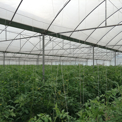 कृषि प्राकृतिक वेंटिलेशन ग्रीनहाउस तापमान नियंत्रण मल्टी स्पैन ग्रीनहाउस