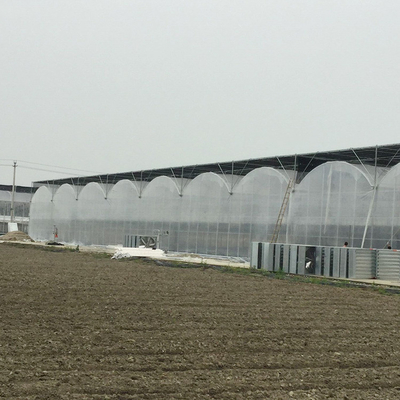 बड़े आकार की प्लास्टिक फिल्म ग्रीनहाउस / कृषि ग्रीनहाउस 20 मीटर - 100 मीटर लंबा